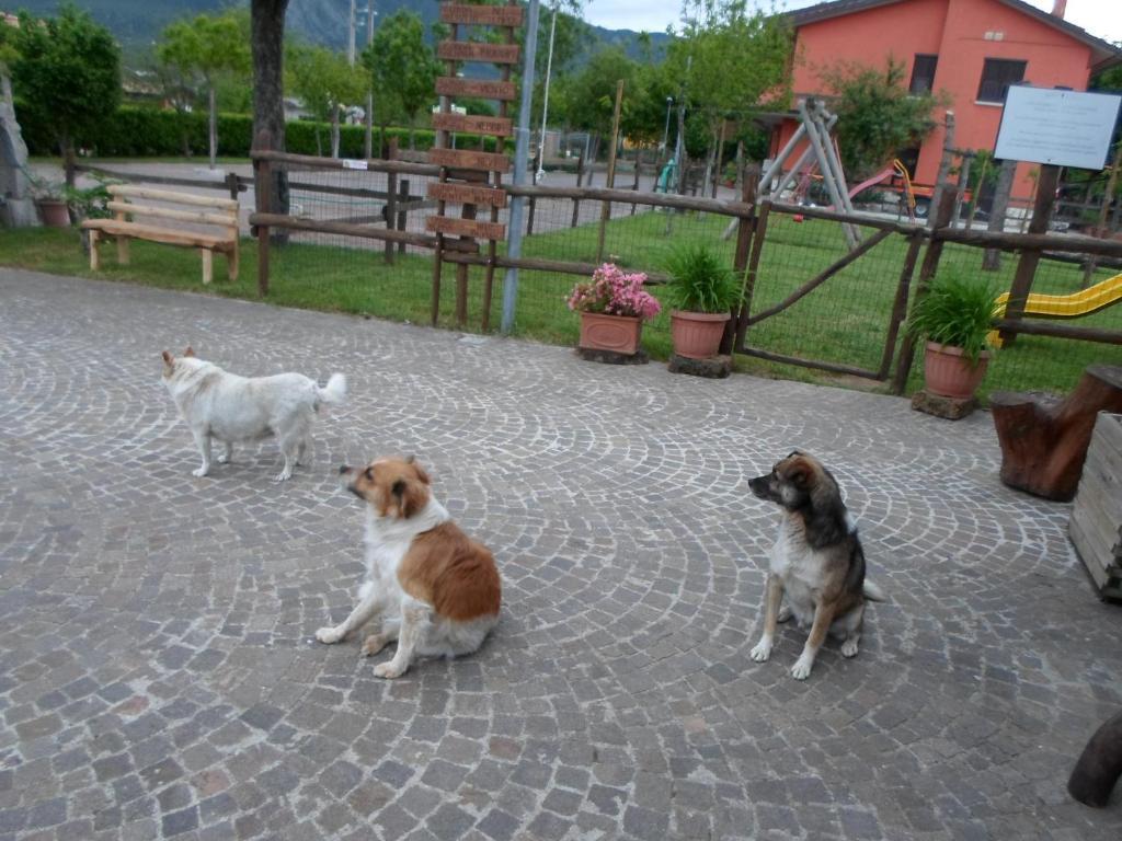 Azienda Agrituristica Pericle มอนเตลลา ภายนอก รูปภาพ