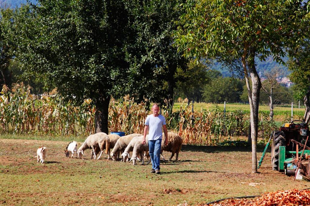 Azienda Agrituristica Pericle มอนเตลลา ภายนอก รูปภาพ